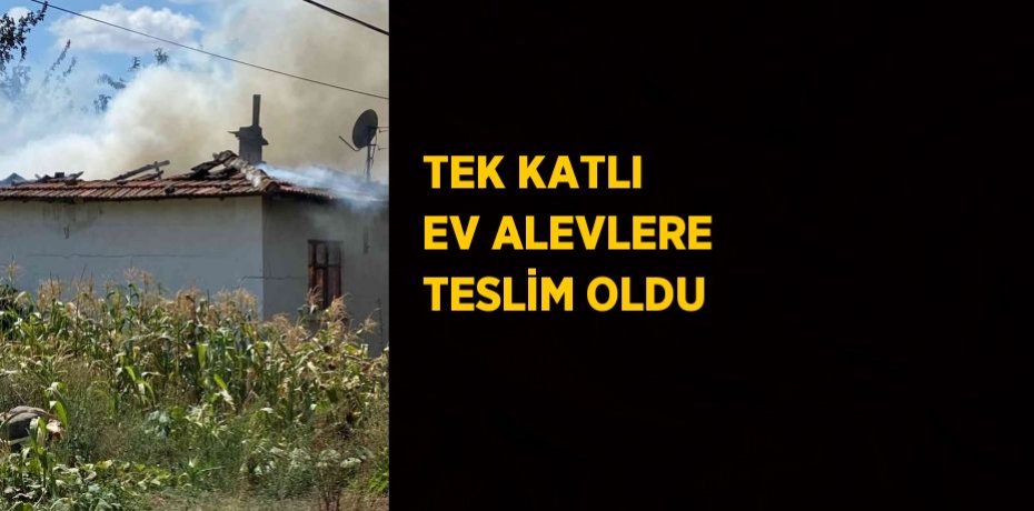 TEK KATLI EV ALEVLERE TESLİM OLDU