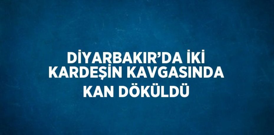 DİYARBAKIR’DA İKİ KARDEŞİN KAVGASINDA KAN DÖKÜLDÜ