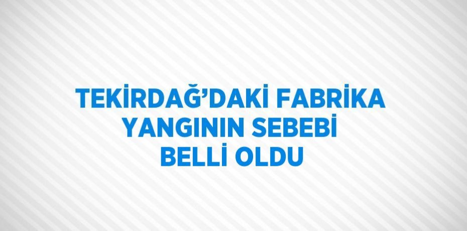 TEKİRDAĞ’DAKİ FABRİKA YANGININ SEBEBİ BELLİ OLDU