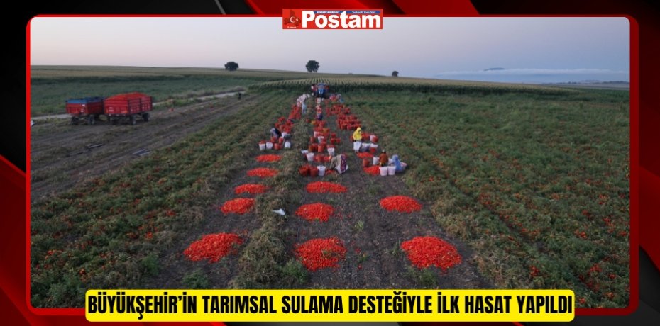 Büyükşehir’in tarımsal sulama desteğiyle ilk hasat yapıldı