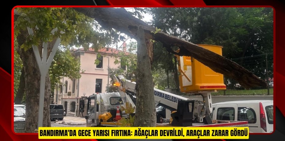 Bandırma'da gece yarısı fırtına: Ağaçlar devrildi, araçlar zarar gördü Bandırma'da gece yarısı fırtına: Ağaçlar devrildi, araçlar zarar gördü