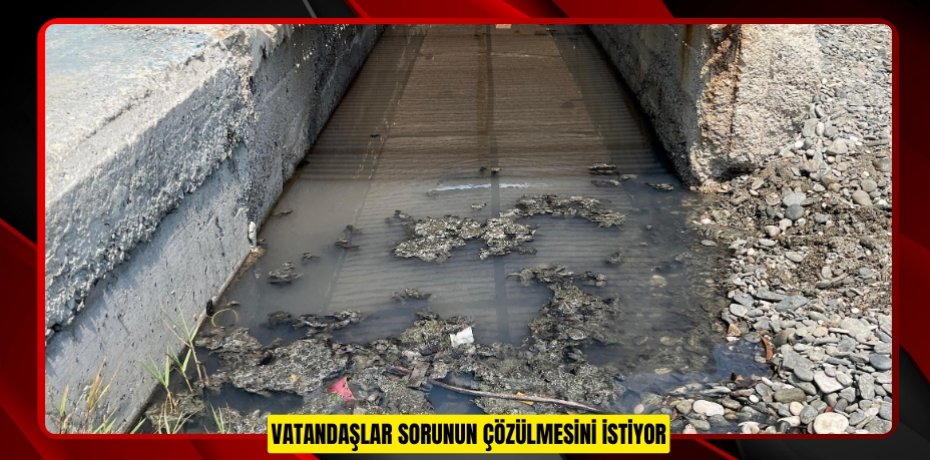 Vatandaşlar sorunun çözülmesini istiyor