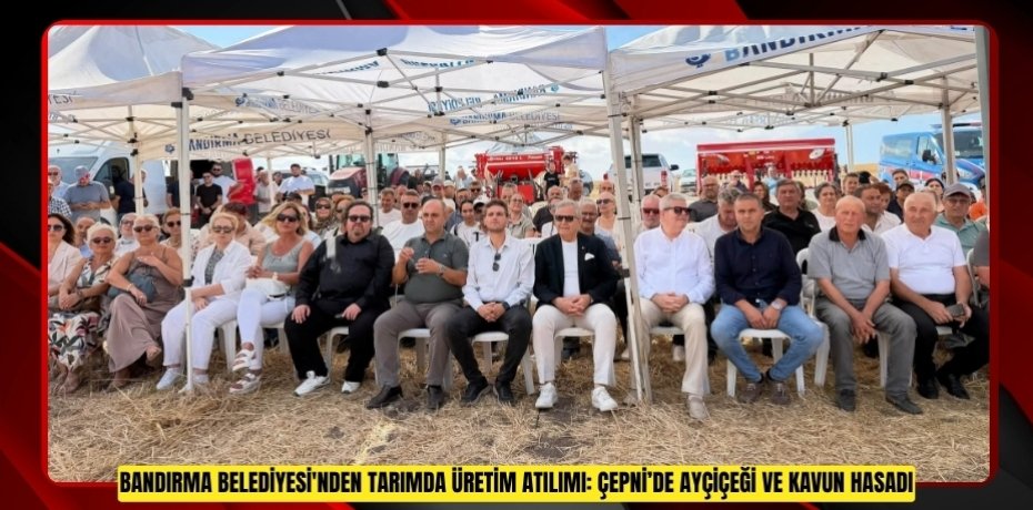 BANDIRMA BELEDİYESİ'NDEN TARIMDA ÜRETİM ATILIMI: ÇEPNİ’DE AYÇİÇEĞİ VE KAVUN HASADI
