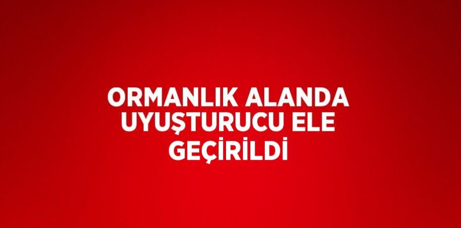 ORMANLIK ALANDA UYUŞTURUCU ELE GEÇİRİLDİ