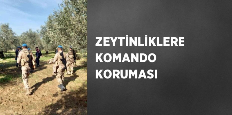 ZEYTİNLİKLERE KOMANDO KORUMASI