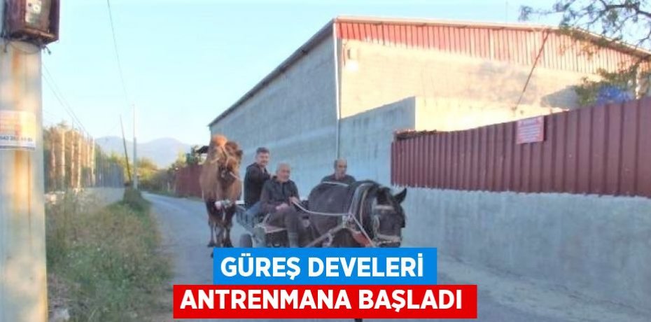 GÜREŞ DEVELERİ ANTRENMANA BAŞLADI