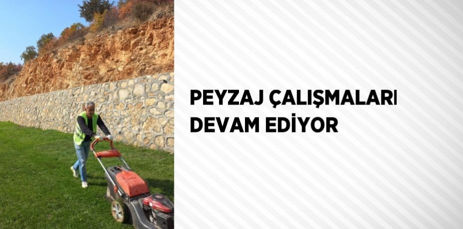 PEYZAJ ÇALIŞMALARI DEVAM EDİYOR