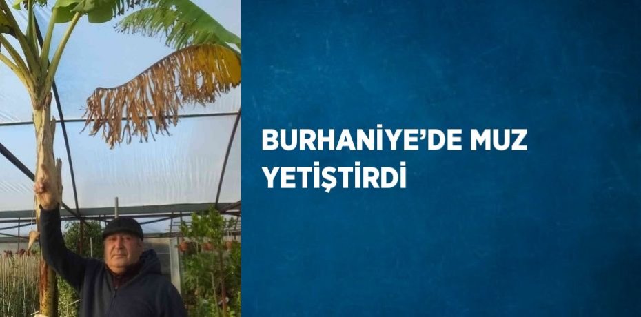 BURHANİYE’DE MUZ YETİŞTİRDİ