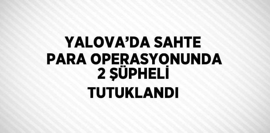 YALOVA’DA SAHTE PARA OPERASYONUNDA 2 ŞÜPHELİ TUTUKLANDI