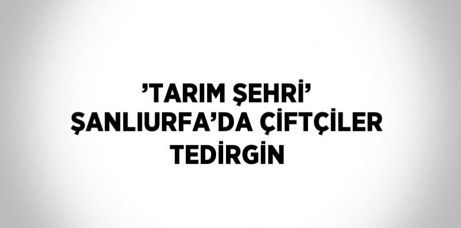 ’TARIM ŞEHRİ’ ŞANLIURFA’DA ÇİFTÇİLER TEDİRGİN
