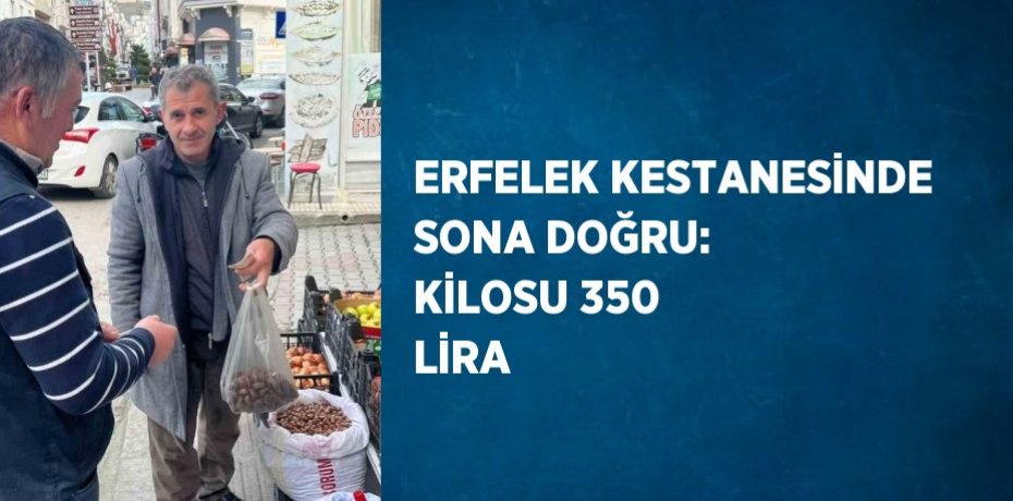 ERFELEK KESTANESİNDE SONA DOĞRU: KİLOSU 350 LİRA