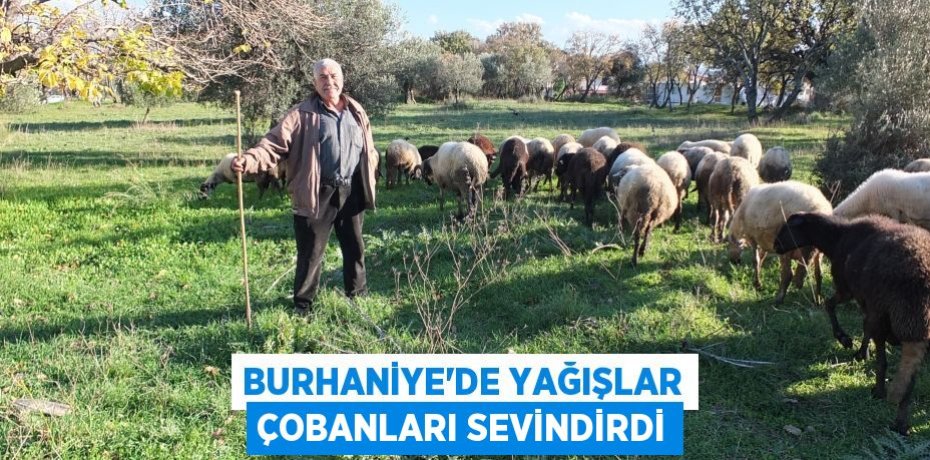 Burhaniye’de yağışlar çobanları sevindirdi