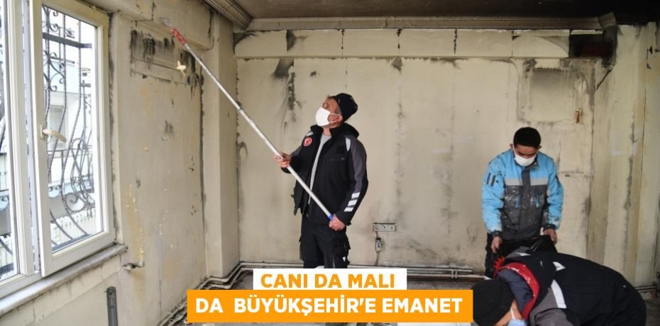 CANI DA MALI DA  BÜYÜKŞEHİR’E EMANET