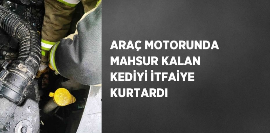 ARAÇ MOTORUNDA MAHSUR KALAN KEDİYİ İTFAİYE KURTARDI