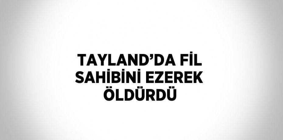 TAYLAND’DA FİL SAHİBİNİ EZEREK ÖLDÜRDÜ
