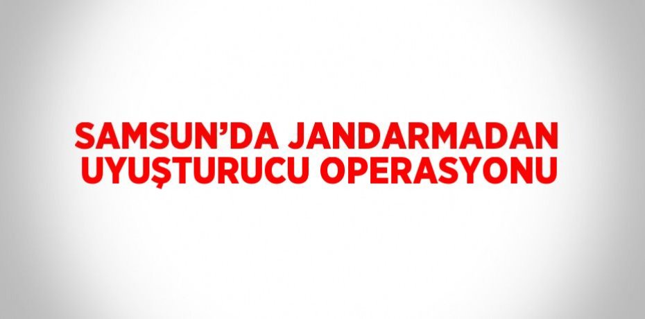 SAMSUN’DA JANDARMADAN UYUŞTURUCU OPERASYONU