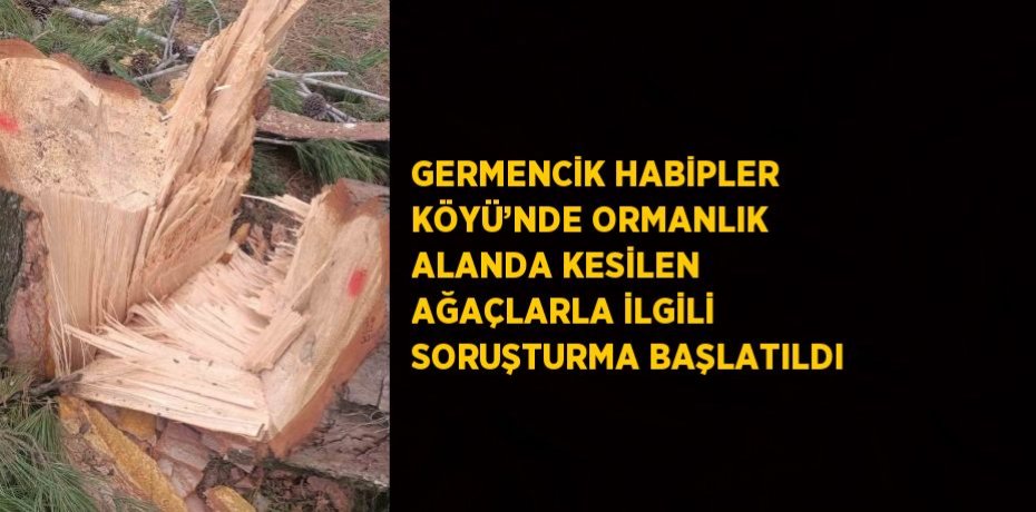 GERMENCİK HABİPLER KÖYÜ’NDE ORMANLIK ALANDA KESİLEN AĞAÇLARLA İLGİLİ SORUŞTURMA BAŞLATILDI