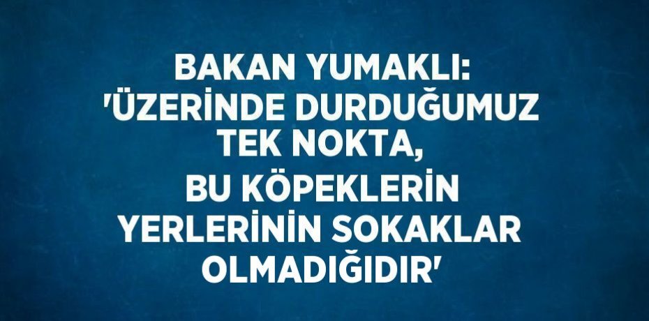 BAKAN YUMAKLI: 'ÜZERİNDE DURDUĞUMUZ TEK NOKTA, BU KÖPEKLERİN YERLERİNİN SOKAKLAR OLMADIĞIDIR'