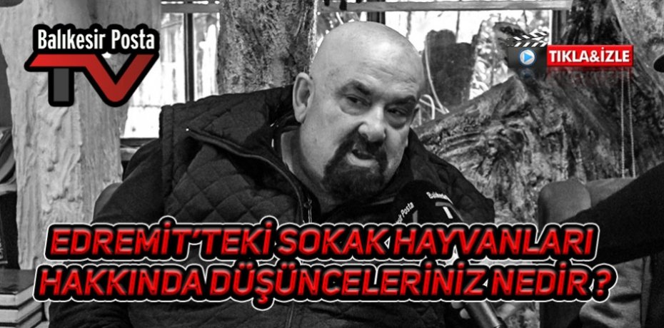 EDREMİT'TEKİ SOKAK HAYVANLARI HAKKINDA DÜŞÜNCELERİNİZ NEDİR ?