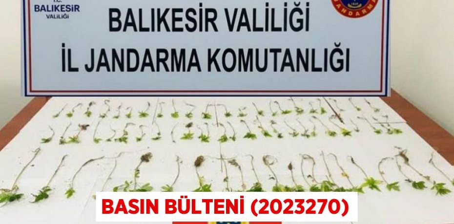 Basın Bülteni (2023270)