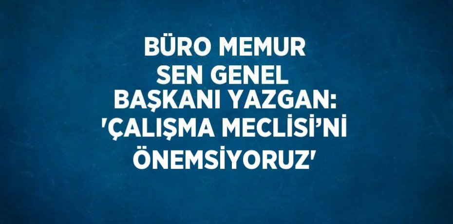 BÜRO MEMUR SEN GENEL BAŞKANI YAZGAN: 'ÇALIŞMA MECLİSİ’Nİ ÖNEMSİYORUZ'