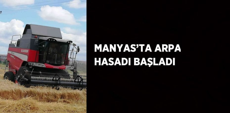 MANYAS’TA ARPA HASADI BAŞLADI