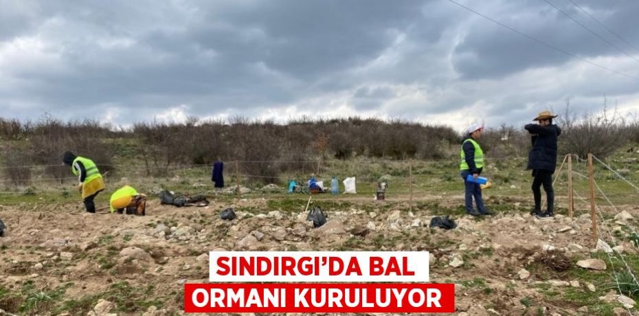 SINDIRGI’DA BAL ORMANI KURULUYOR