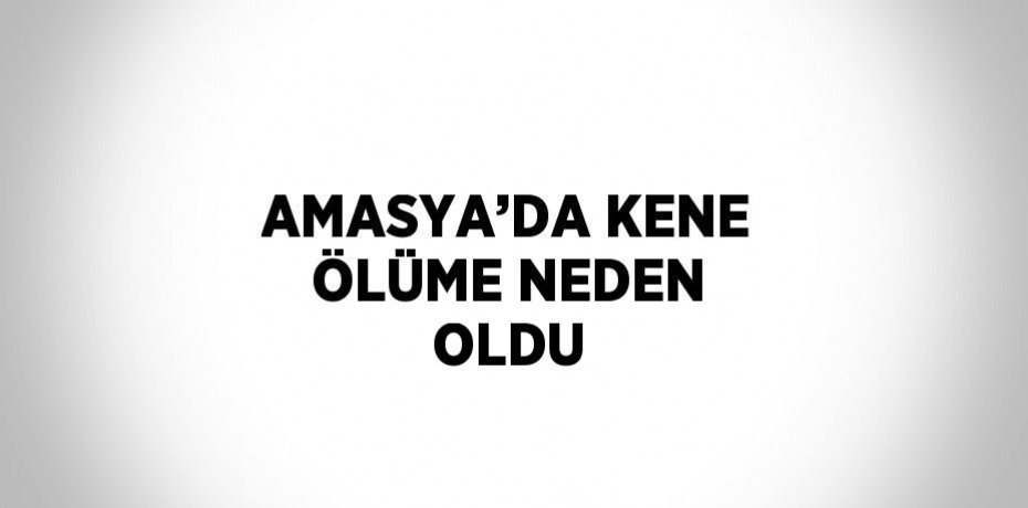 AMASYA’DA KENE ÖLÜME NEDEN OLDU