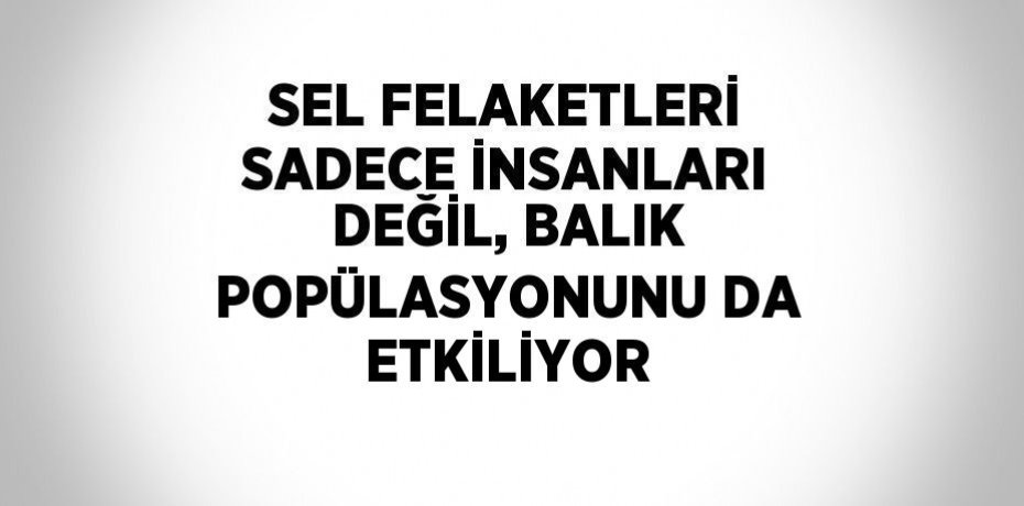 SEL FELAKETLERİ SADECE İNSANLARI DEĞİL, BALIK POPÜLASYONUNU DA ETKİLİYOR