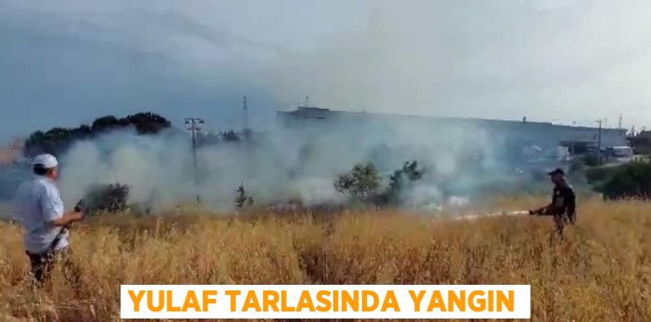 YULAF TARLASINDA YANGIN