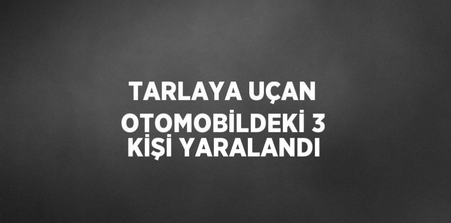 TARLAYA UÇAN OTOMOBİLDEKİ 3 KİŞİ YARALANDI