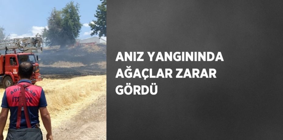 ANIZ YANGININDA AĞAÇLAR ZARAR GÖRDÜ
