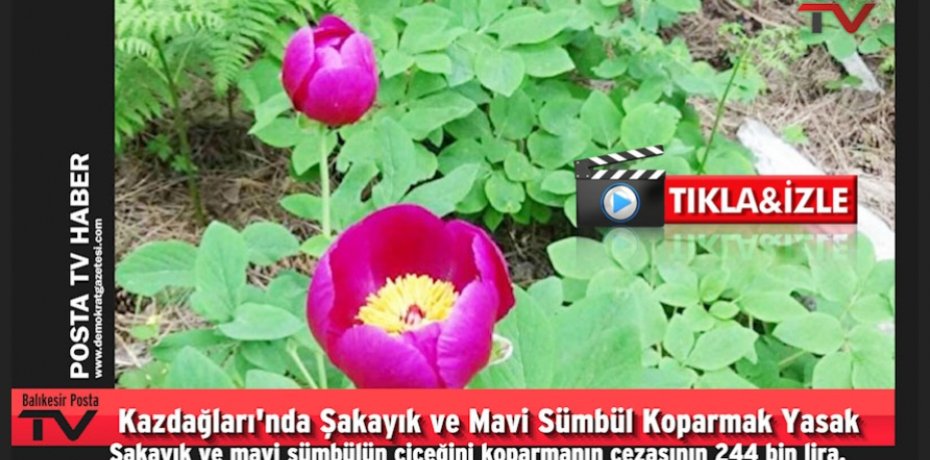 BELEDİYEYE GELİR ELDE EDİCİ PROJELER