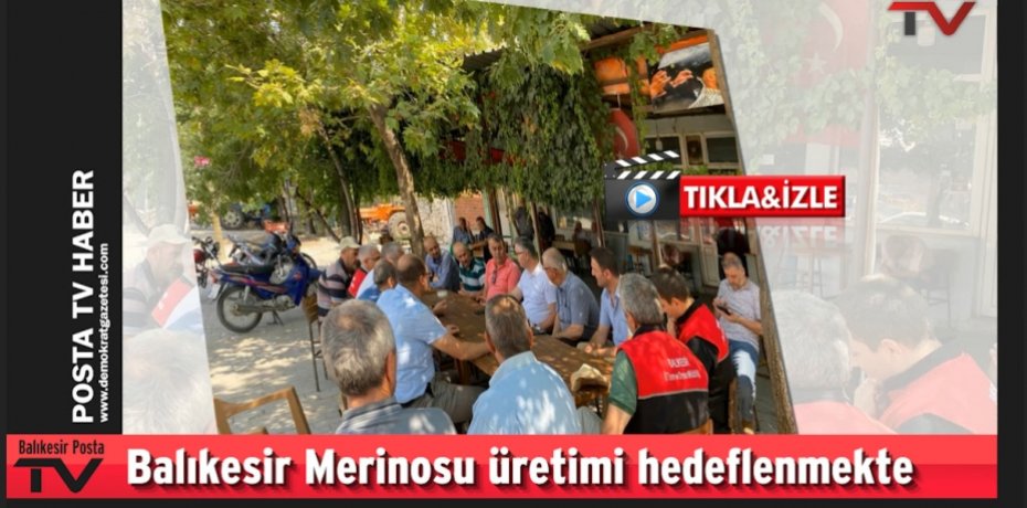 Balıkesir Merinosu üretimi hedeflenmekte
