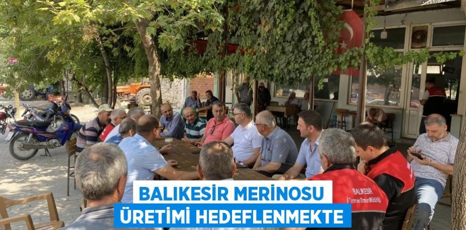 Balıkesir Merinosu üretimi hedeflenmekte