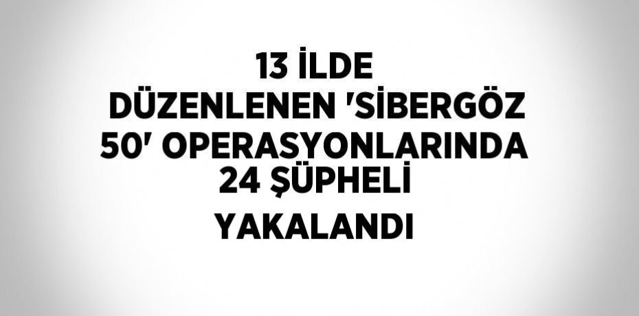 13 İLDE DÜZENLENEN 'SİBERGÖZ 50' OPERASYONLARINDA 24 ŞÜPHELİ YAKALANDI