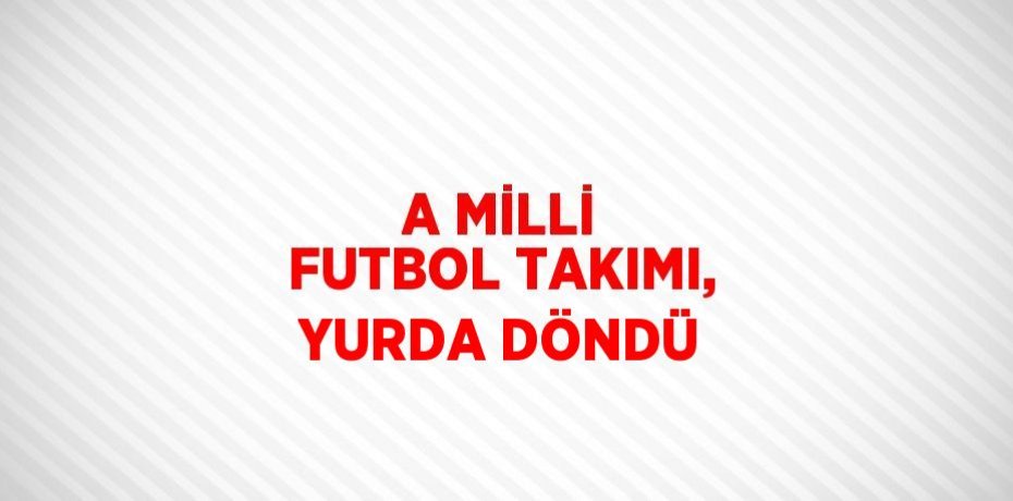A MİLLİ FUTBOL TAKIMI, YURDA DÖNDÜ