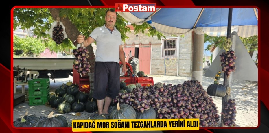 Kapıdağ mor soğanı tezgahlarda yerini aldı