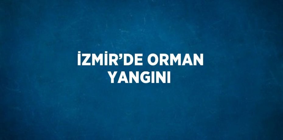 İZMİR’DE ORMAN YANGINI