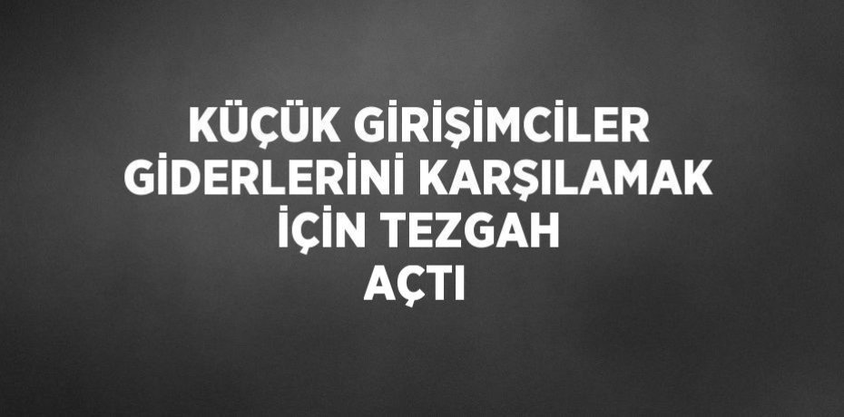 KÜÇÜK GİRİŞİMCİLER GİDERLERİNİ KARŞILAMAK İÇİN TEZGAH AÇTI