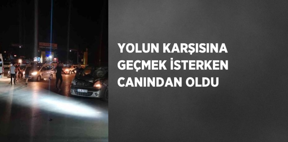 YOLUN KARŞISINA GEÇMEK İSTERKEN CANINDAN OLDU