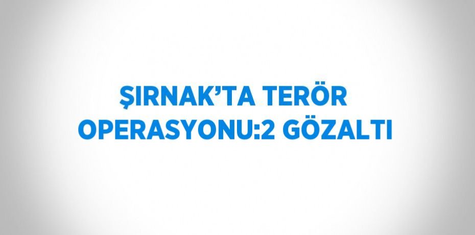 ŞIRNAK’TA TERÖR OPERASYONU:2 GÖZALTI