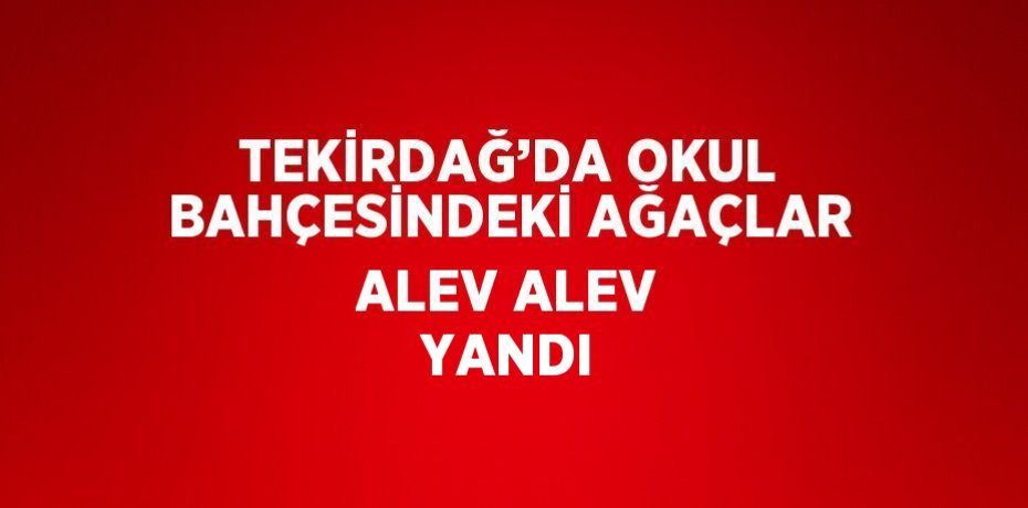 TEKİRDAĞ’DA OKUL BAHÇESİNDEKİ AĞAÇLAR ALEV ALEV YANDI