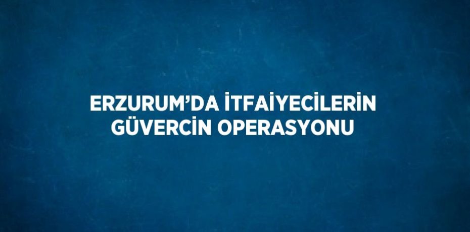 ERZURUM’DA İTFAİYECİLERİN GÜVERCİN OPERASYONU