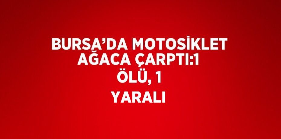 BURSA’DA MOTOSİKLET AĞACA ÇARPTI:1 ÖLÜ, 1 YARALI