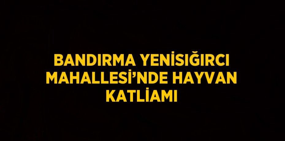 BANDIRMA YENİSIĞIRCI MAHALLESİ’NDE HAYVAN KATLİAMI
