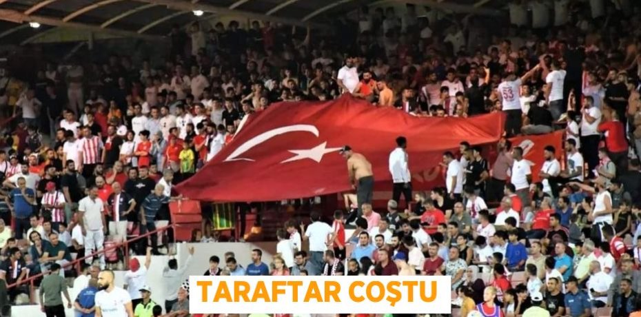 TARAFTAR COŞTU