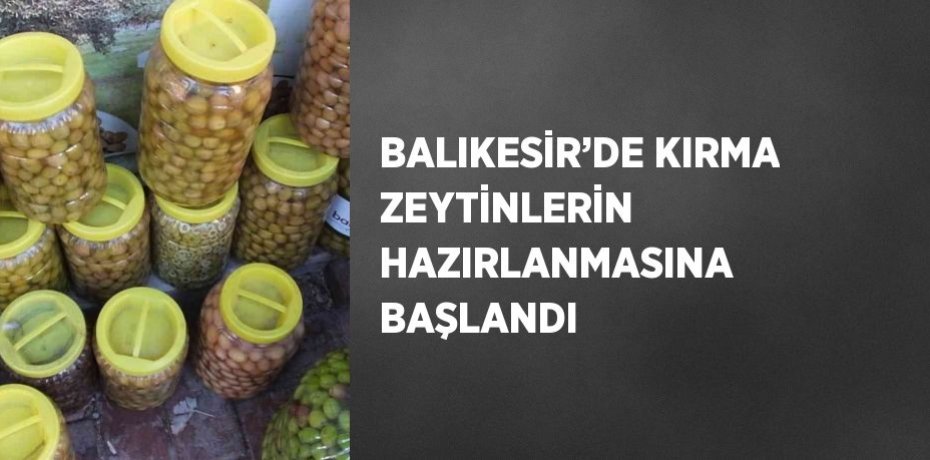 BALIKESİR’DE KIRMA ZEYTİNLERİN HAZIRLANMASINA BAŞLANDI