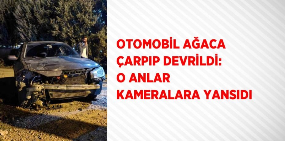 OTOMOBİL AĞACA ÇARPIP DEVRİLDİ: O ANLAR KAMERALARA YANSIDI