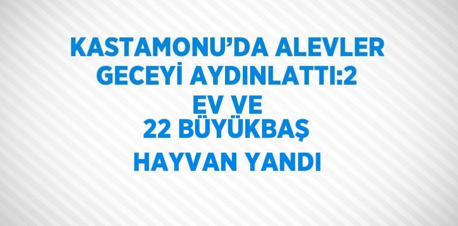 KASTAMONU’DA ALEVLER GECEYİ AYDINLATTI:2 EV VE 22 BÜYÜKBAŞ HAYVAN YANDI